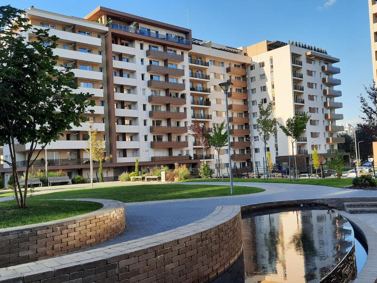 Sorin'S Comfortable Apartment Braşov Dış mekan fotoğraf
