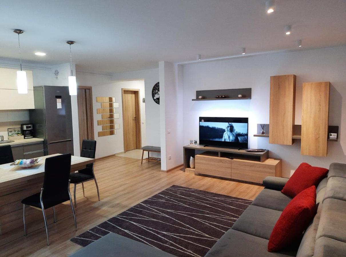 Sorin'S Comfortable Apartment Braşov Dış mekan fotoğraf
