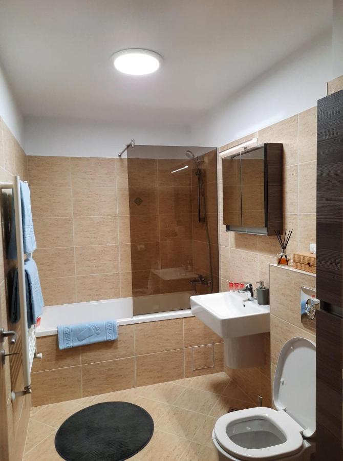 Sorin'S Comfortable Apartment Braşov Dış mekan fotoğraf