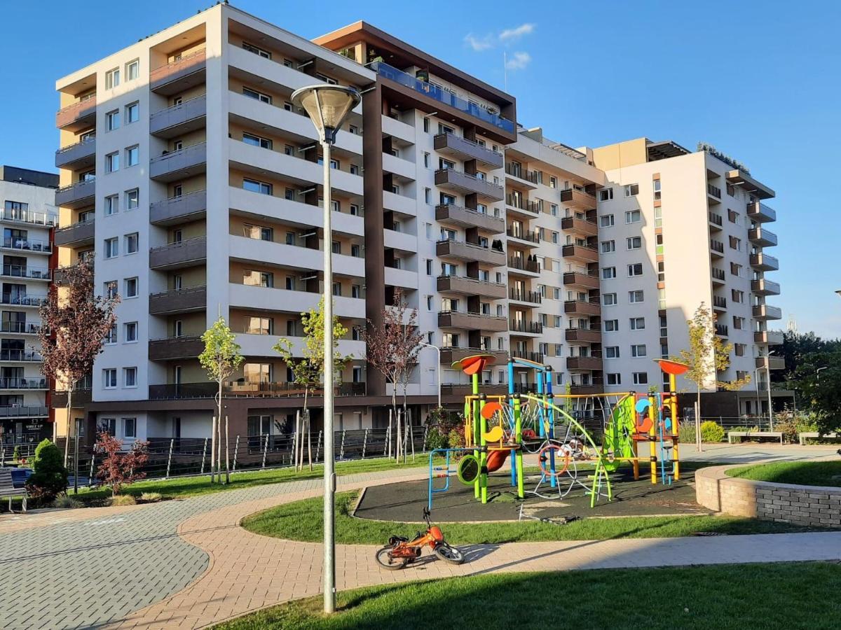 Sorin'S Comfortable Apartment Braşov Dış mekan fotoğraf
