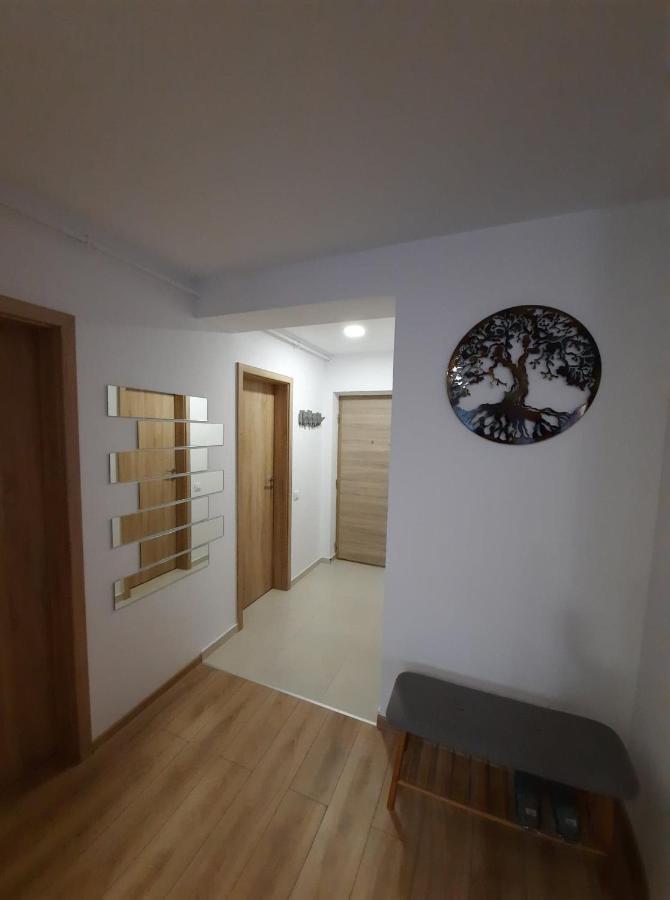 Sorin'S Comfortable Apartment Braşov Dış mekan fotoğraf